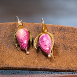 Earrings in silver 925 with real fortified rose